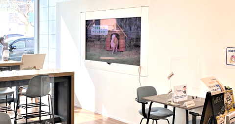 【大型ディスプレイ】「KicSpace」への導入事例